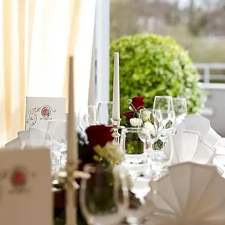 Rose Hotel